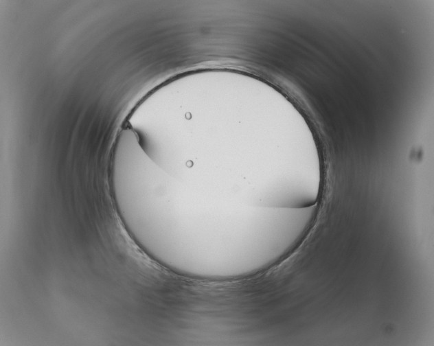 X0000112361284200909101247