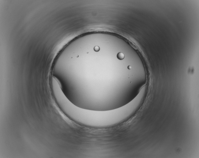 X0000112361285200909101247