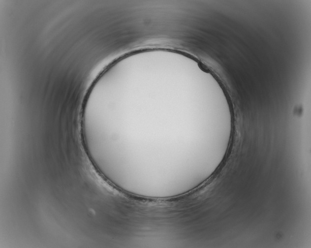 X0000112361288200909101247