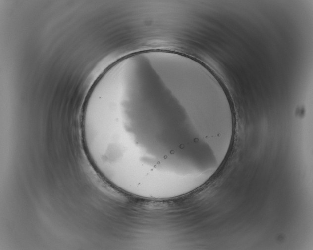 X0000112361291200909101247