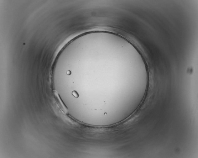 X0000112361292200909101247
