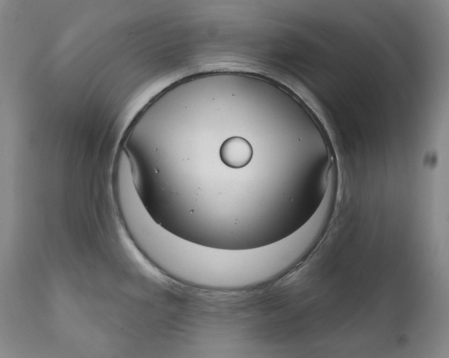 X0000112361293200909101247