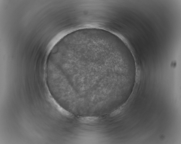 X0000112361294200909101247