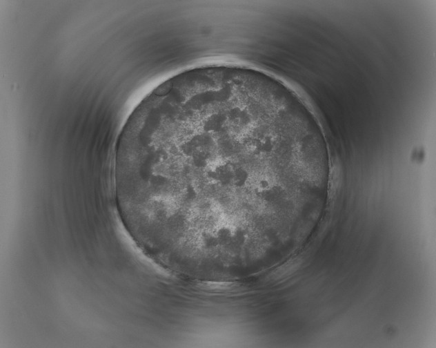 X0000112361295200909101247