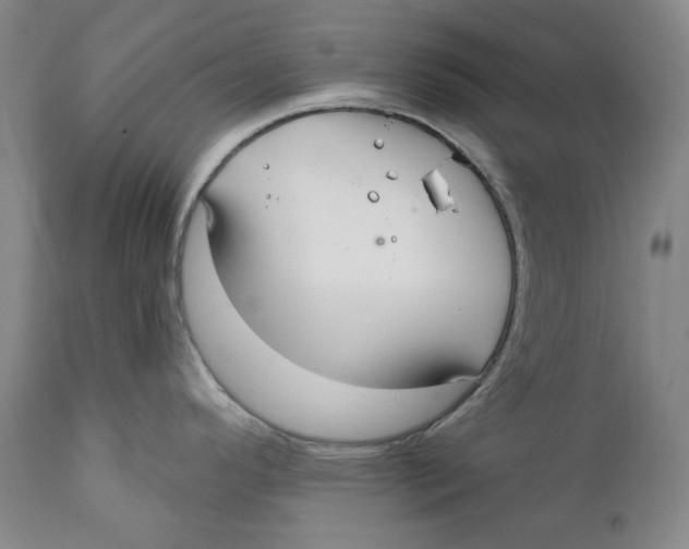 X0000112361296200909101247