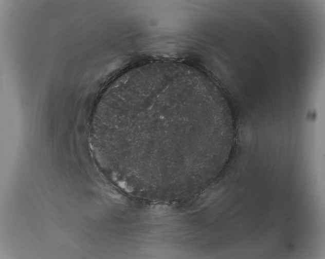 X0000112361297200909101246