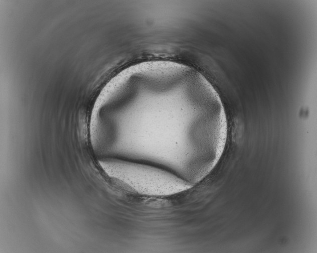 X0000112361298200909101246