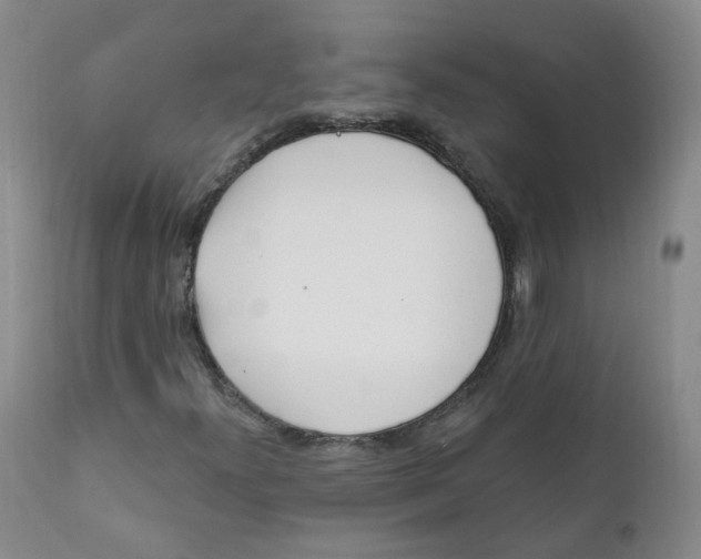 X0000112361300200909101246