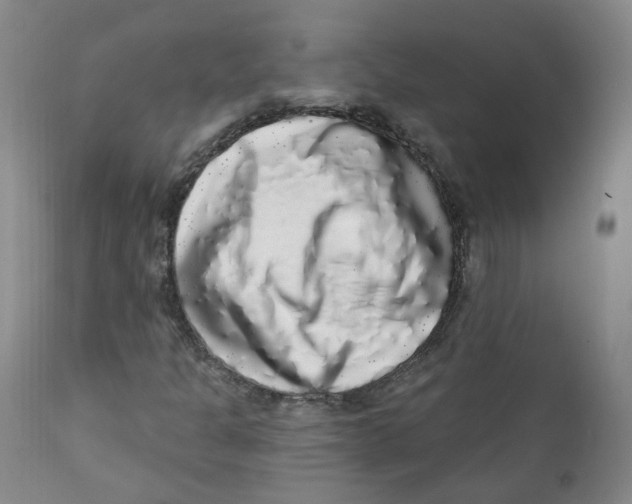 X0000112361301200909101246