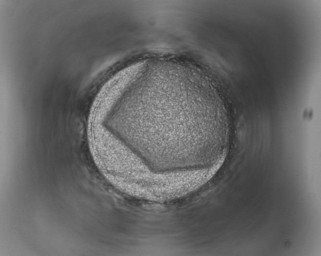X0000112361302200909101246