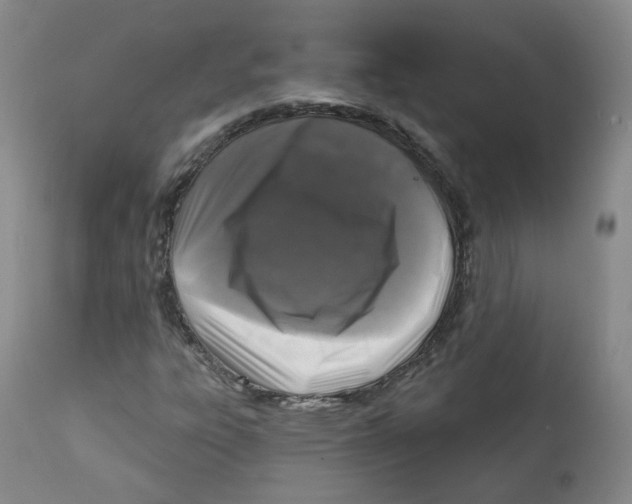 X0000112361303200909101246