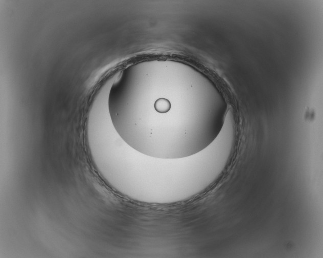 X0000112361304200909101247
