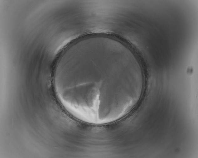 X0000112361306200909101247