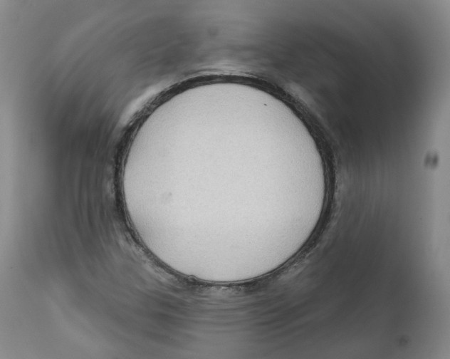 X0000112361307200909101247
