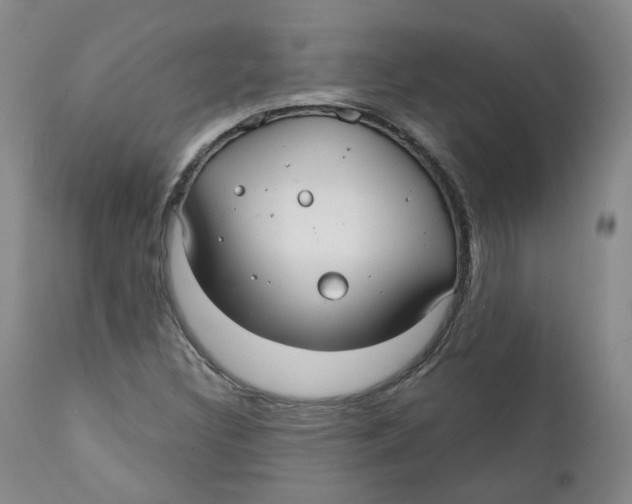 X0000112361308200909101247