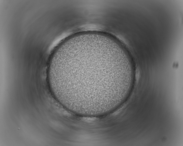 X0000112361309200909101247