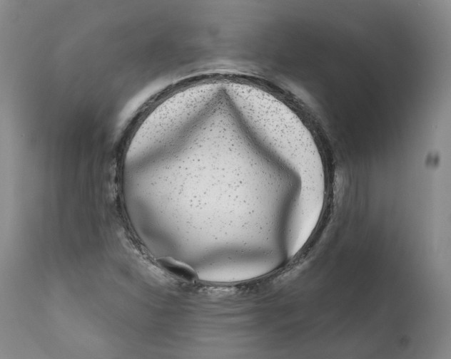 X0000112361310200909101247