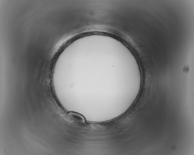 X0000112361312200909101247