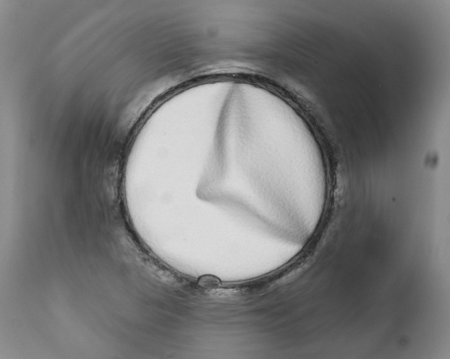 X0000112361313200909101247