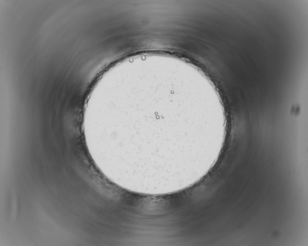X0000112361314200909101247