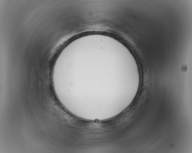 X0000112361315200909101247