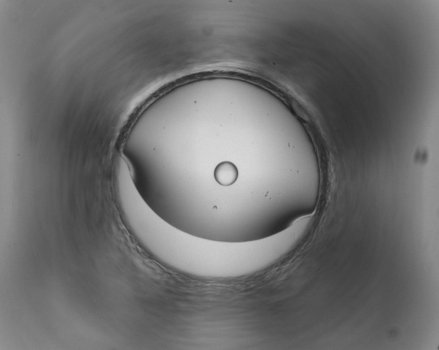 X0000112361316200909101247