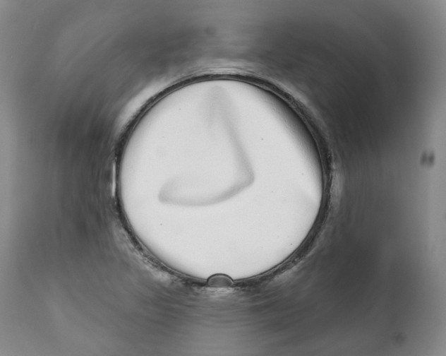 X0000112361317200909101247