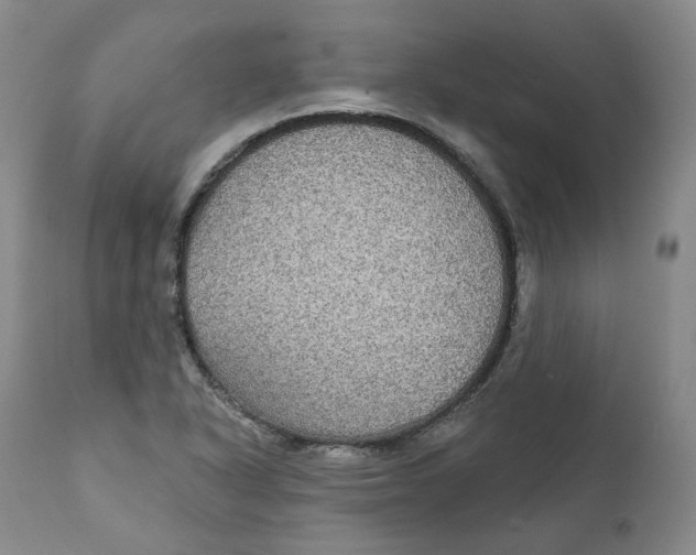 X0000112361318200909101247