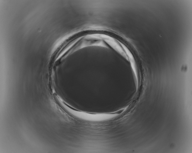X0000112361319200909101247