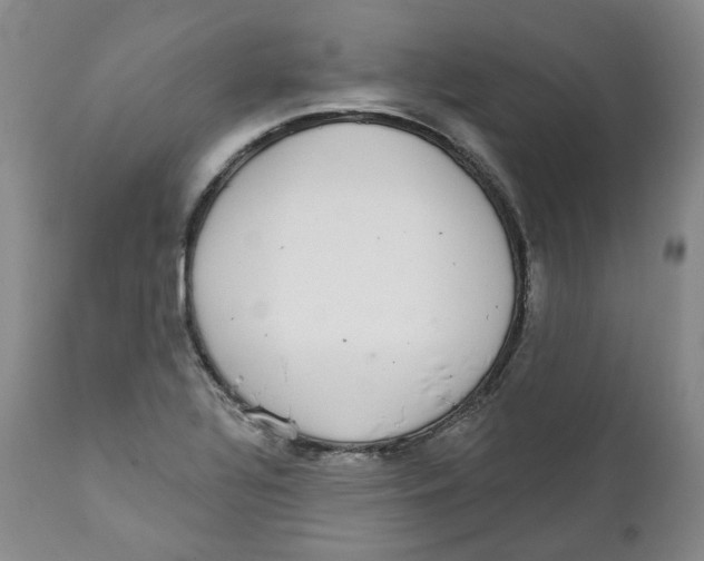 X0000112361320200909101247