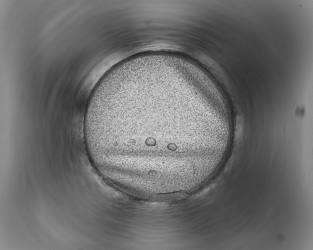 X0000112361321200909101247