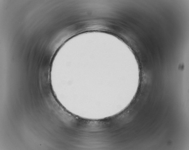 X0000112361322200909101247