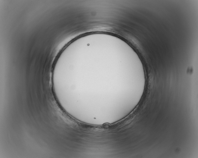 X0000112361324200909101247