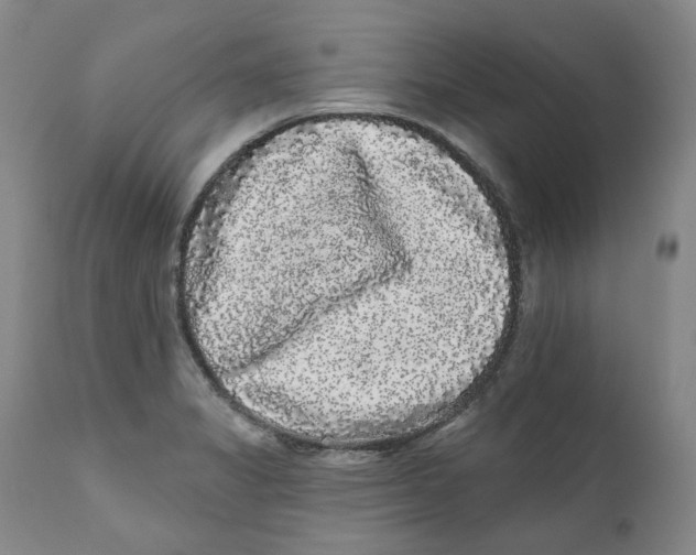 X0000112361325200909101247