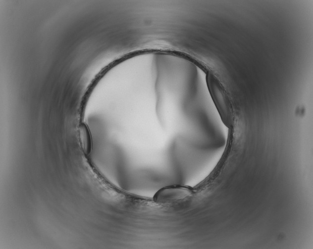 X0000112361326200909101247