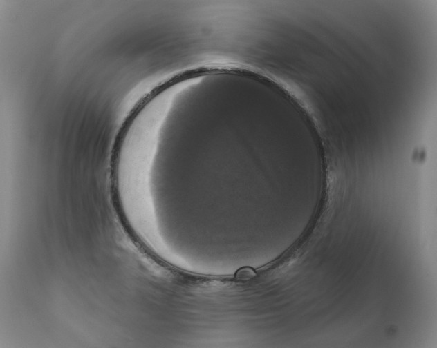 X0000112361327200909101247