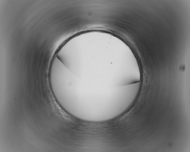 X0000112361328200909101247