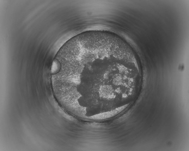X0000112361329200909101247