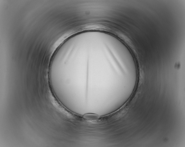 X0000112361330200909101247