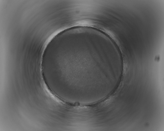 X0000112361331200909101247