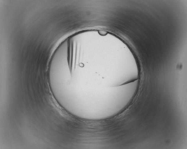 X0000112361332200909101247