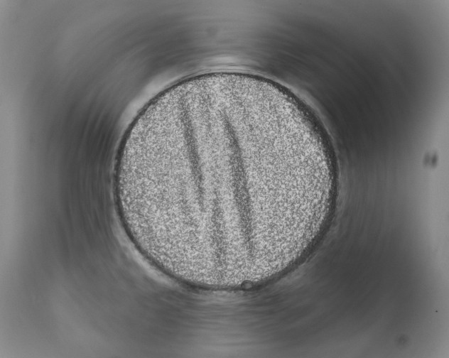 X0000112361333200909101247