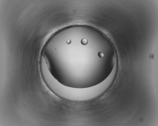 X0000112361334200909101247