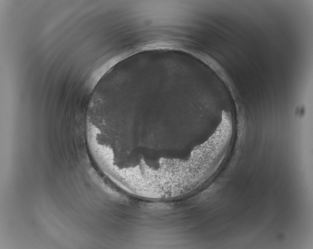 X0000112361337200909101247