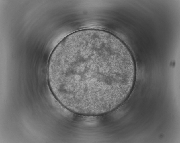 X0000112361338200909101247