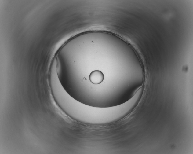 X0000112361342200909101247
