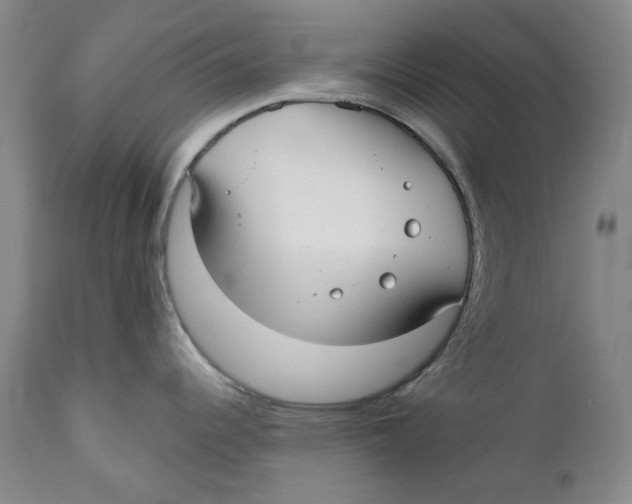 X0000112361344200909101247