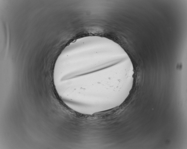 X0000112361345200909101246