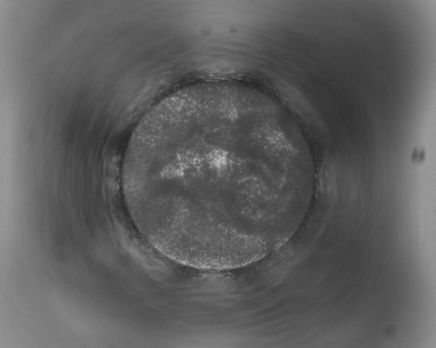 X0000112361346200909101246