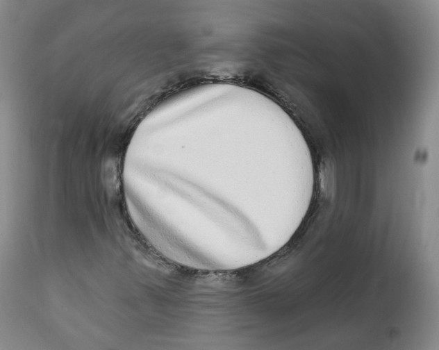X0000112361347200909101246